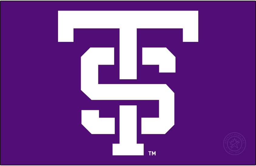 St. Thomas Tommies 2021-Pres Alt on Dark Logo diy iron on heat transfer
